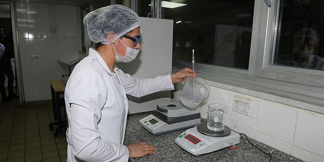 Devlet desteğiyle katma değerli ürünler üretiyor