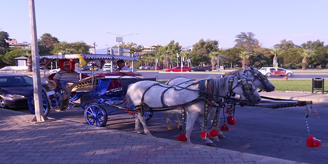 İzmir'de izin belgesi olmayan faytonlara 'men' kararı
