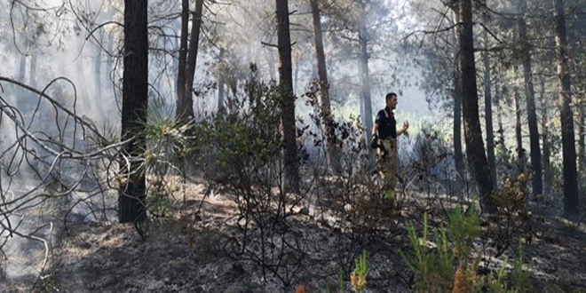 stanbul'da orman yangn