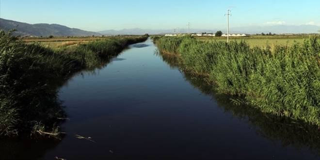 Doduu yerden dkld yere slah edilecek