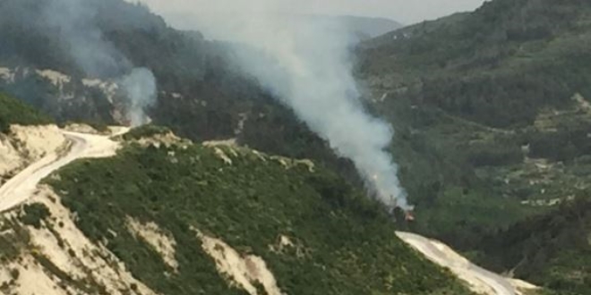 Snrn sfr noktasnda orman yangn