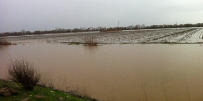 Bakanlk Gediz Nehri iin harekete geti