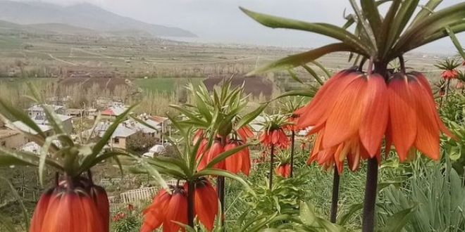 Ters laleleri toplayanlara 180 bin lira idari para cezası