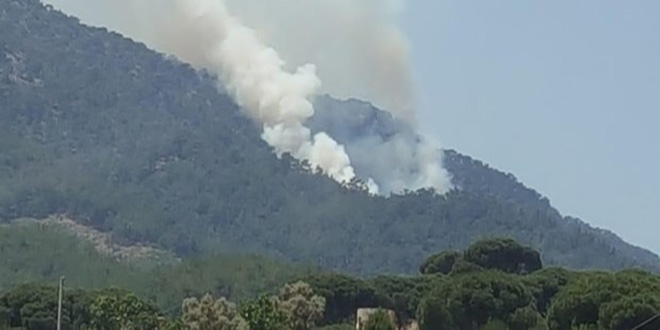 Muğla'da orman yangını çıktı
