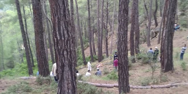 Kestiği ağacın altında kalan orman işçisi öldü