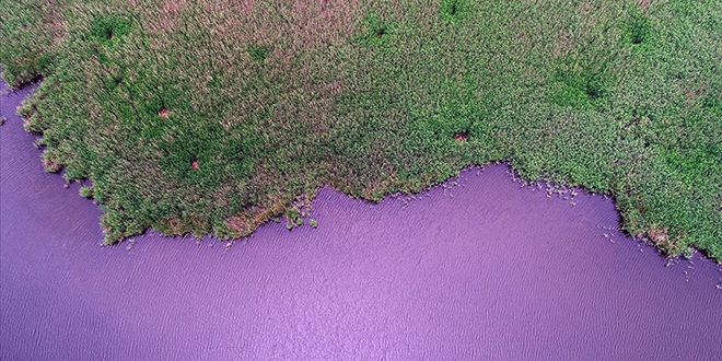 İğneada Longoz Ormanları'nda görsel şölen