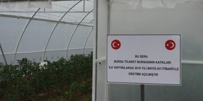 Bursa E Tipi Cezaevi'nde zirai üretim başladı