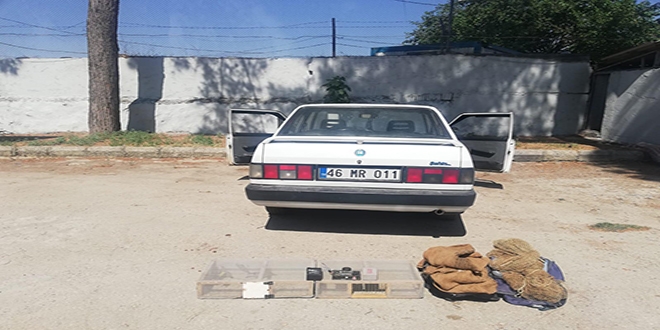 Saka kuşlarını yakalayan avcıya rekor ceza