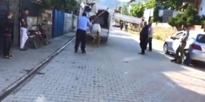 Ata sopayla vuran kişiye 773 lira para ceza