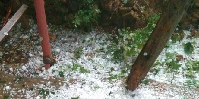 Başkent'te yağan dolu ekili arazilere zarar verdi