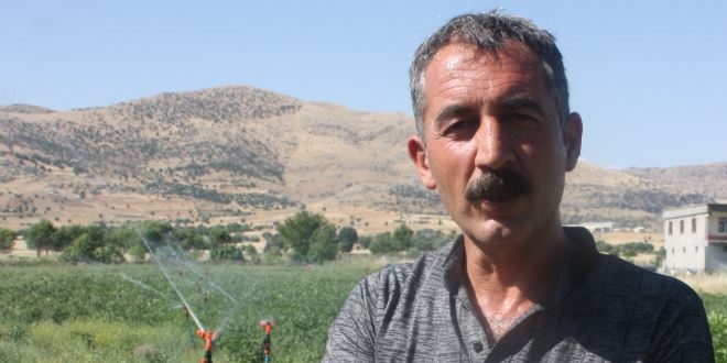 Patates fiyatlarına kızdı, kiraladığı tarlaya patates ekti