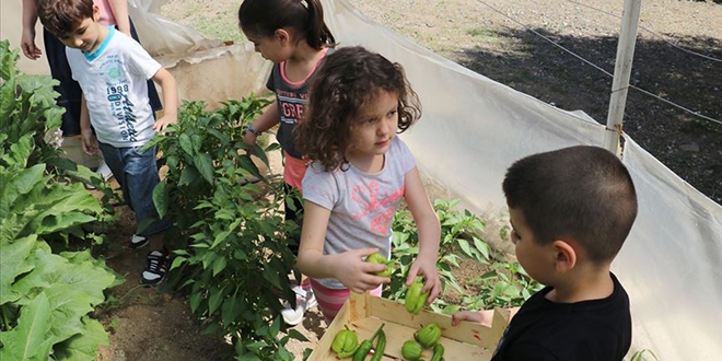 'iftlik' okulda 'doal' eitim