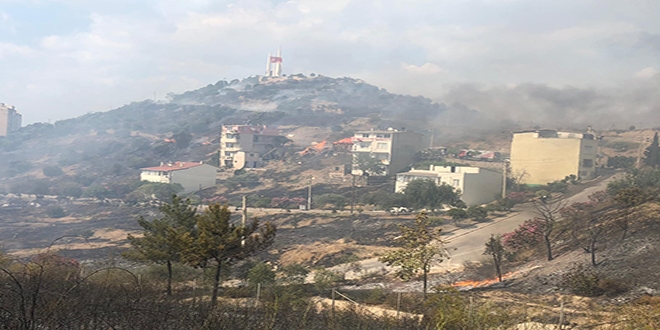 Zeytinlik alanda başlayan yangın 2 eve sıçradı