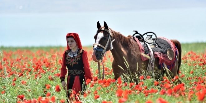 Gelincik tarlaları doğal fotoğraf stüdyosuna dönüştü