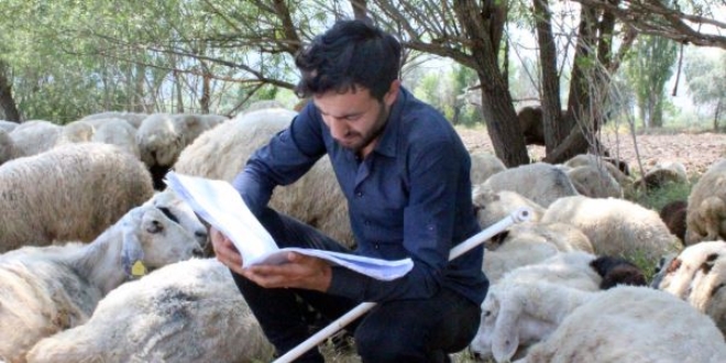 Sınavdan çıktı, soluğu koyunların yanında aldı