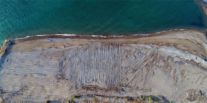 Sahildeki gizemli caretta caretta katliamına belediyeden açıklama