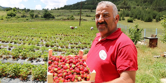 Tavsiye üzerine başladı, siparişlere yetişemiyorlar