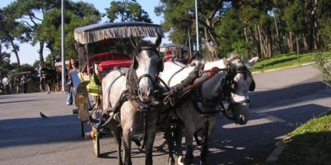 İzmir'in o ilçesinde faytonların kullanımı yasaklandı