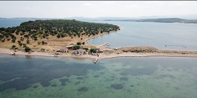Balıkesir'de satılık ada...İşte fiyatı