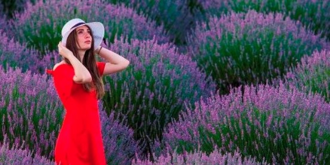 Isparta, Gül'den sonra 'Lavanta' festivaline hazırlanıyor