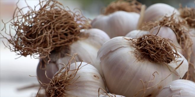 Sarmsan at da antioksidan asndan deerli