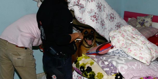 Ankara'da asayi uygulamas: ok sayda polis katld