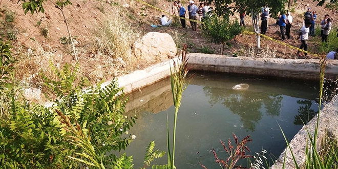 Sulama havuzuna den 6 yandaki Hanifi ld