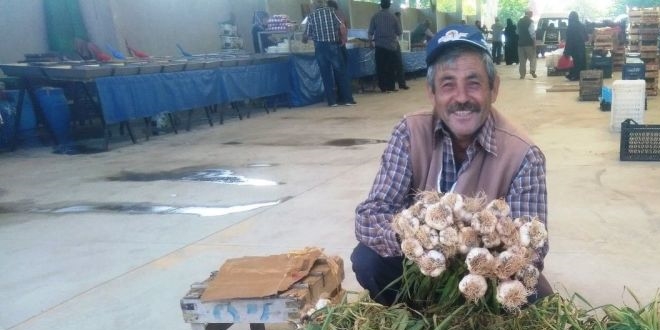 Yerli sarımsak çıktı, fiyatlar düştü