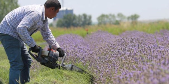 Ya da ok kymetli! Litresi 100 avrodan satlyor