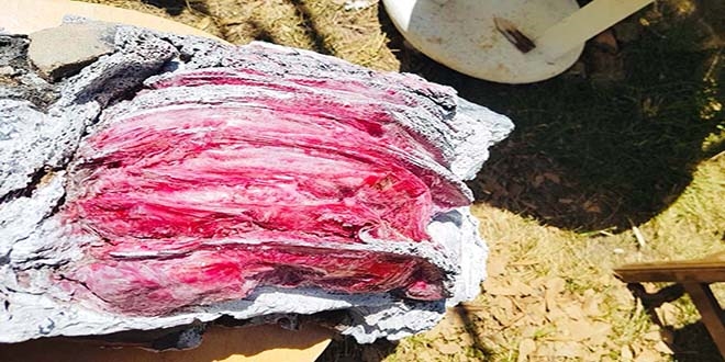 Denizde buldu, aratrlmasn istiyor