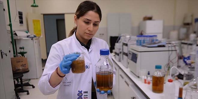 Fiyat den zeytinyana sv sabun forml