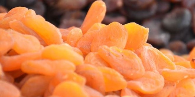 Kuru meyve ihracats Rusya'ya odakland