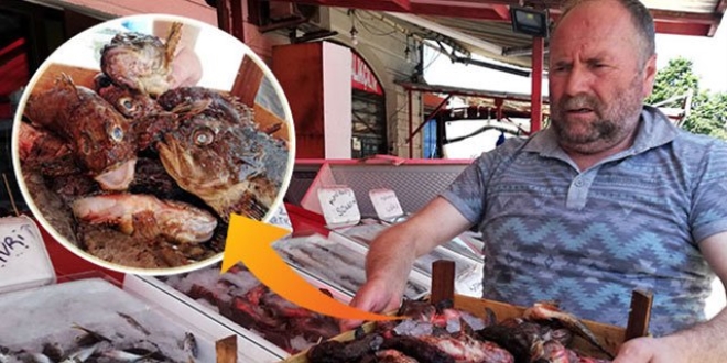 Dışı zehirli, içi lezzetli... 'Çirkin balık'a yoğun talep