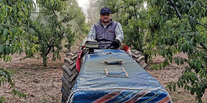 Belediye Başkanı, mesai sonrası tarlasında çalışıyor
