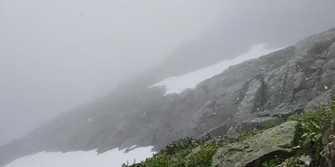 Kakarlar'a Haziran'n son gnnde kar yad