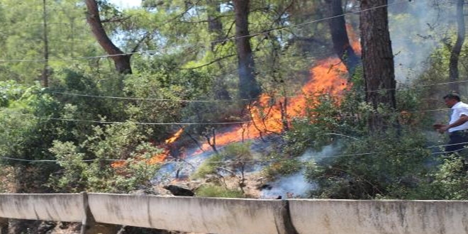 Otomobilin arparak devirdii elektrik direi yangn kard