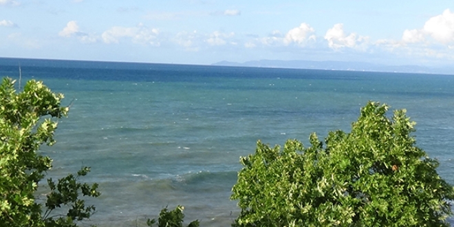 Karadeniz frtna sonras iki renge brnd