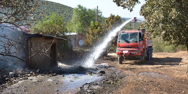 Arazi yangn ahra srad, 53 koyun telef oldu