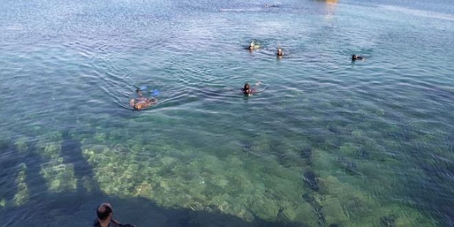 Data'da denizden 1,5 ton p kartld