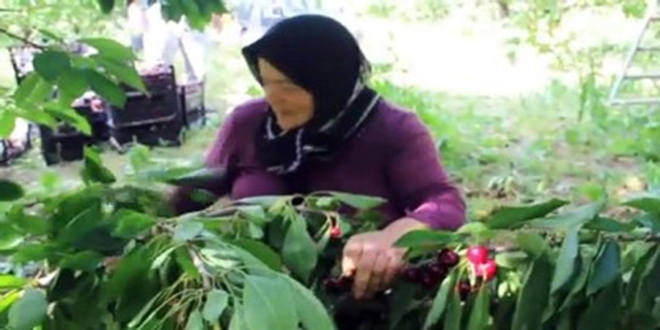 Emekli öğretmen meyve bahçesi kurdu