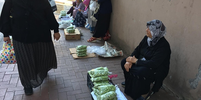 Bamya, üreticiyi memnun etmedi