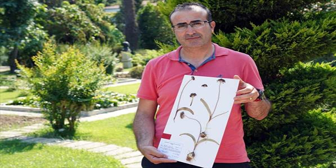 Kefettii bitkiye anne babasnn ismini verdi