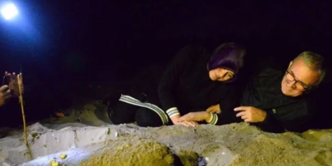 Caretta'ların Valisiyim demişti, yumurta bırakma anına tanıklık etti