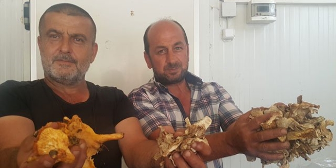 Günde 7 bin lira kazanan bile var! Dünyaya ihraç ediliyor