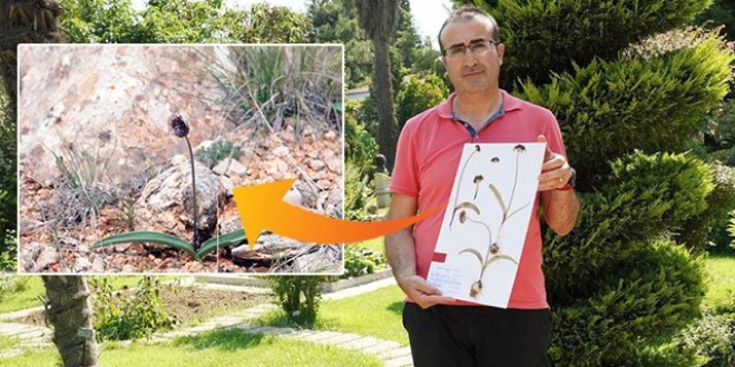 Akademisyen keşfettiği bitkiyi bilim dünyasına kazandırdı