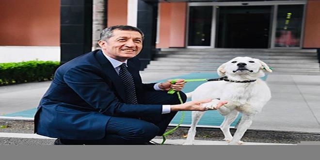 Bakan Selçuk barınaktan köpek sahiplendi