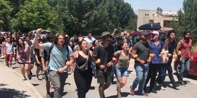 ODTÜ'lü öğrenciler, kavak ağacı ne işe yarar biliyor mu?