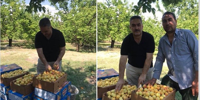 Belediyede başkan, bahçede işçi