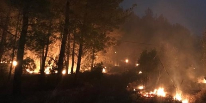 Mula'daki orman yangnnda 34 ev tahliye edildi
