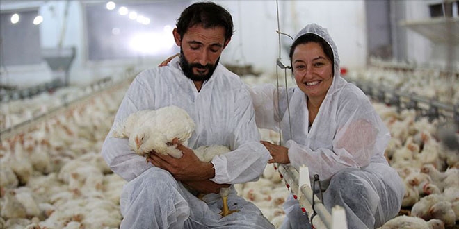 'Her şey para değil' deyip köye yerleştiler